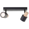 Brilliant lights Pini ceiling spotlight black, 2-light sources