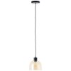 Brilliant lights Casto pendant light black, 1-light source