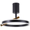 Brilliant lights Merida ceiling light LED black, 1-light source, Remote control