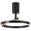 Brilliant lights Merida ceiling light LED black, 1-light source, Remote control