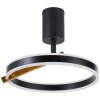 Brilliant lights Merida ceiling light LED black, 1-light source, Remote control