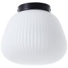 Brilliant lights Kaizen ceiling light black, 1-light source