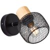 Brilliant lights Giada Wall spotlight black, 1-light source