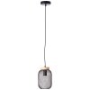 Brilliant lights Giada pendant light black, 1-light source