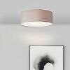 Brilliant lights Anneke ceiling light white, 2-light sources