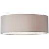 Brilliant lights Anneke ceiling light white, 2-light sources