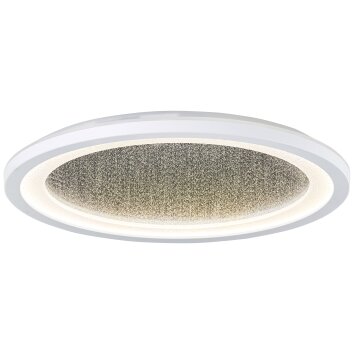 Brilliant lights Tanida Panel LED white, 1-light source