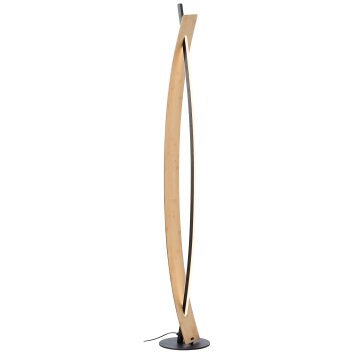 Brilliant lights Visby floor lamp LED black, 1-light source