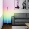 Brilliant lights Neele floor lamp LED black, 1-light source, Remote control