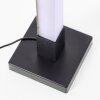 Brilliant lights Neele floor lamp LED black, 1-light source, Remote control