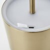 Brilliant lights Xaana table lamp LED gold, 1-light source