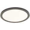 Brilliant lights Briston ceiling light LED white, 1-light source