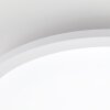 Brilliant lights Briston ceiling light LED white, 1-light source