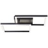 Brilliant lights Ranni ceiling light LED black, 1-light source