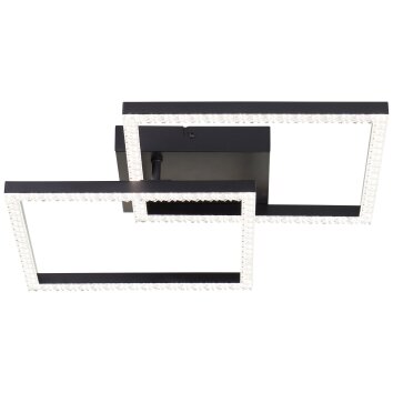 Brilliant lights Ranni ceiling light LED black, 1-light source