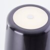 Brilliant lights Xaana table lamp LED black, 1-light source