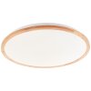 Brilliant lights Bario ceiling light LED white, 1-light source, Remote control