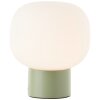 Brilliant lights Camille table lamp green, 1-light source