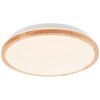 Brilliant lights Bario ceiling light LED white, 1-light source