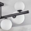 Chehalis ceiling light, globe light white, 8-light sources