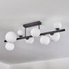 Chehalis ceiling light, globe light white, 8-light sources