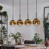 Gastor hanging light, globe light, pendant light gold, clear, 4-light sources