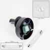 Koyoto globe light, wall light, wall spotlight clear, 1-light source