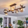 Chehalis ceiling light, globe light Amber, clear, Smoke-coloured, 8-light sources