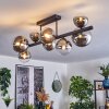 Chehalis ceiling light, globe light chrome, clear, Smoke-coloured, 8-light sources