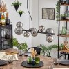 Chehalis globe light, pendant light Smoke-coloured, 8-light sources