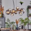 Chehalis globe light, pendant light clear, Smoke-coloured, 8-light sources