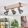 Pehefito ceiling light, ceiling spotlight grey, Ecru, 3-light sources