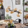 Chehalis hanging light, globe light, pendant light Amber, 8-light sources