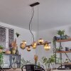 Chehalis hanging light, globe light, pendant light Amber, Smoke-coloured, 8-light sources