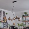 Chehalis hanging light, globe light, pendant light chrome, Smoke-coloured, 8-light sources