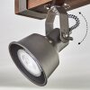 Pehefito ceiling light, ceiling spotlight dark brown, grey, 6-light sources