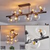 Gastor ceiling light, globe light clear, 8-light sources