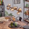 Chehalis hanging light, globe light, pendant light Amber, clear, Smoke-coloured, 10-light sources