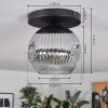 Ripoll ceiling light, globe light clear, Smoke-coloured, 1-light source