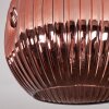 Ripoll ceiling light, globe light coppery, 1-light source