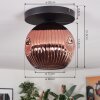 Ripoll ceiling light, globe light coppery, 1-light source