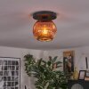 Ripoll ceiling light, globe light coppery, 1-light source