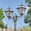 Fornelos outdoor light, lamp post, path light gold, black, 2-light sources