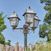 Fornelos outdoor light, lamp post, path light gold, black, 3-light sources