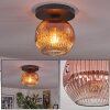 Ripoll ceiling light, globe light clear, coppery, 1-light source