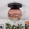 Ripoll ceiling light, globe light clear, coppery, 1-light source