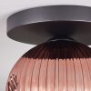 Ripoll ceiling light, globe light clear, coppery, 1-light source