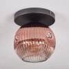 Ripoll ceiling light, globe light clear, coppery, 1-light source