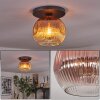 Ripoll ceiling light, globe light clear, coppery, 1-light source