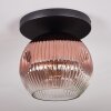 Ripoll ceiling light, globe light clear, coppery, 1-light source